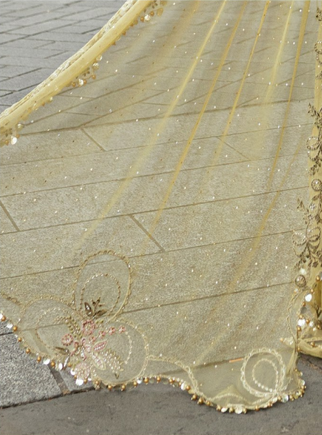 Hand-Embellished Raw Silk Ensemble with Diamanté Net Dupatta