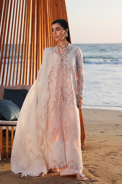 Blush Horizon Grace